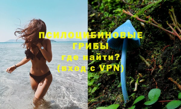 мяу мяу мука Баксан