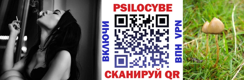 Псилоцибиновые грибы Psilocybe  нарко площадка клад  Ершов  hydra как зайти 